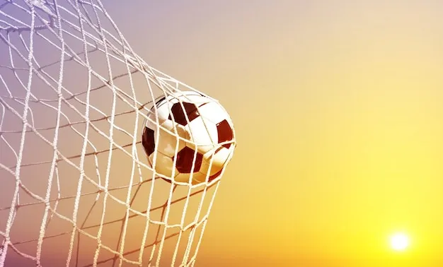 亚博体育VIP官网 官方体验